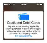 apple setup pay icon